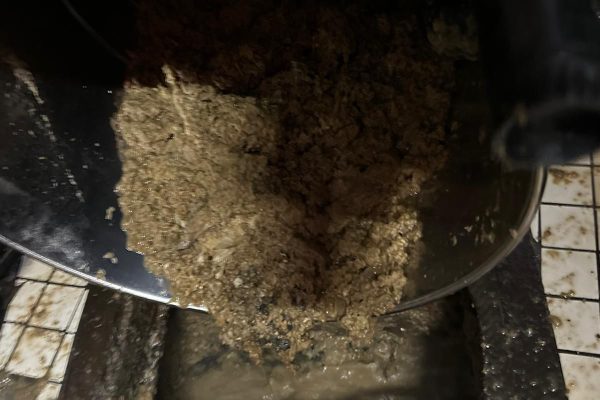 WhatsApp Image 2025-08-15 at 13.25.27 (1)