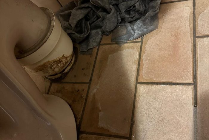 WhatsApp Image 2025-08-15 at 13.25.28